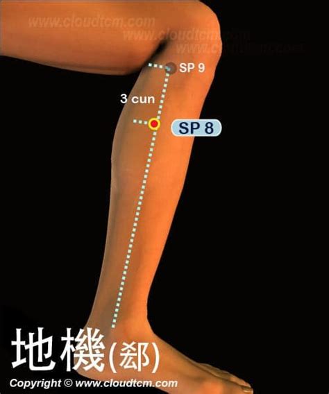 地陰|地機穴可改善腹痛腹脹胃痛,食慾不振